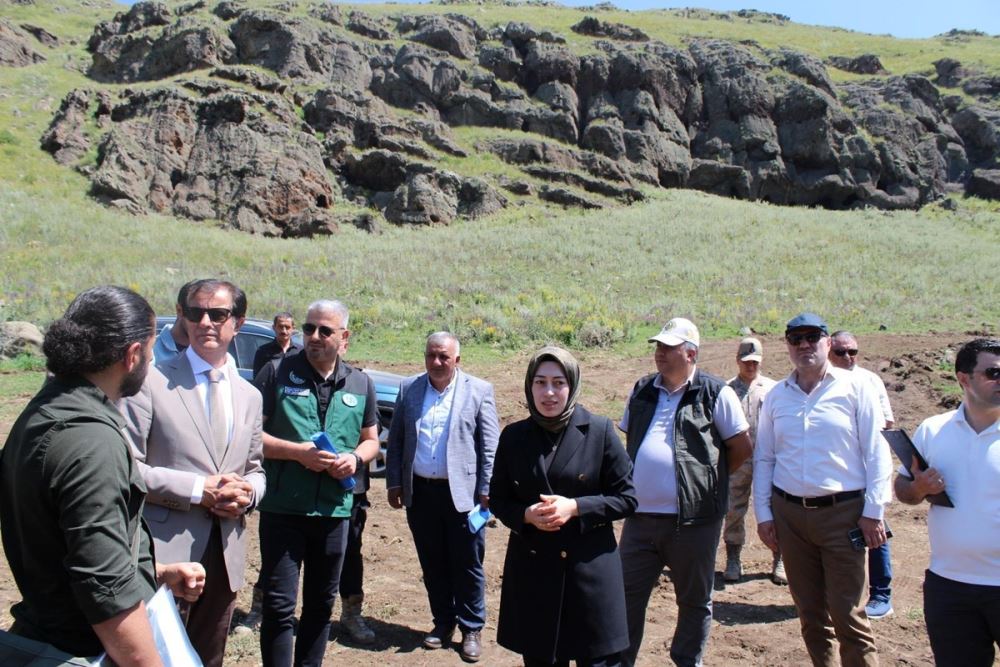 Our Rector is found in Review at Hanak Harosman Canyon